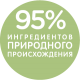95 ION RUS